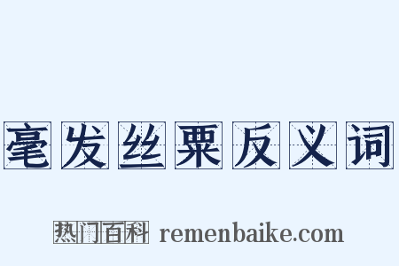 毫发丝粟反义词是什么意思的图片